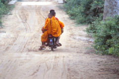 moped-1