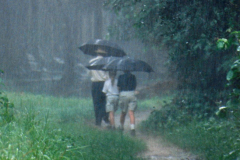 rain